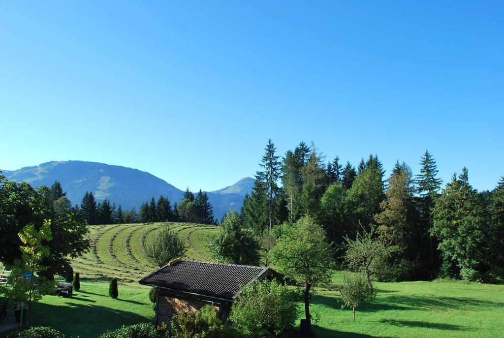 Berggasthof Baernstatt Scheffau am Wilden Kaiser Ngoại thất bức ảnh